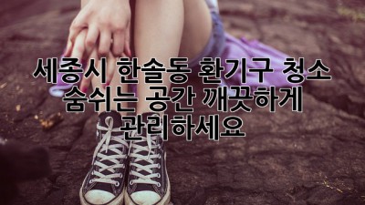 세종시 한솔동 환기구 청소: 숨쉬는 공간, 깨끗하게 관리하세요!
